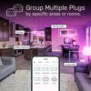 Feit Electric Smart Plug, Works with Alexa and Google Home, No hub Required, 2.4 GHz Network Only, Remote Control from Anywhere 15 Amp, Indoor...